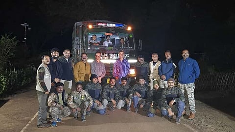 Tiger Translocation Maharashtra: पेंच और ताड़ोबा से 5 साल में 8 बाघ सह्याद्री भेजे जाएंगे। T20SF2 बाघिन का सफल ट्रांसलोकेशन। मानव-वन्यजीव टकराव कम होने और सह्याद्री में आबादी बढ़ाने की उम्मीद।