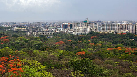 Aarey Colony