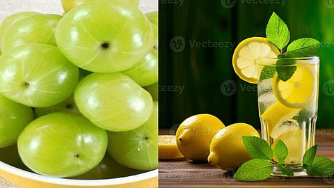 आंवला और नींबू में से क्या है ज़्यादा फायदेमंद, किसमें है ज़्यादा विटामिन सी, जानिए दोनों की ख़ासियतें