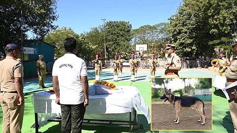 Amravati Police Marshal Dog Death