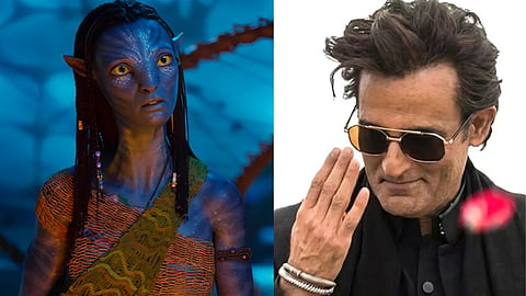 Box Office Collection Of Dhurandhar and Avatar: Fire and Ash