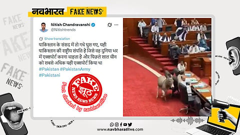 The viral video claiming a donkey entered Pakistan’s Parliament turned out to be 98% AI-generated and completely fake.