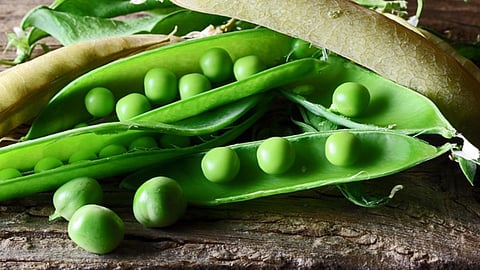 मटर के छिलके में छिपे हैं सेहत के असली खजाने