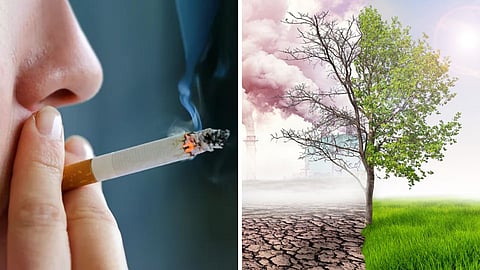 पर्यावरण को नुकसान पहुंचाते है ये 4 काम