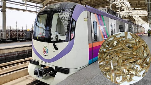 Pune Metro Banned Fish