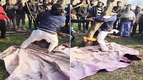 Maulana debauchery proved costly