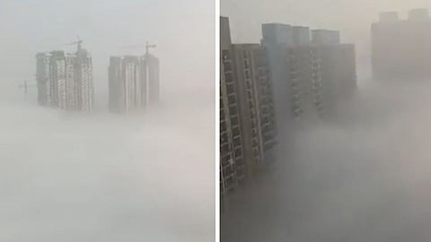 A viral video from NCR shows thick smog covering everything, highlighting the alarming air pollution situation.