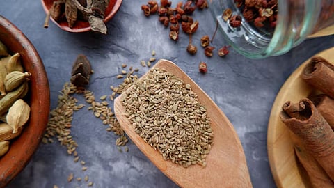 पेट दर्द से खांसी तक, अजवाइन क्यों है हर घर की जरूरी दवा?