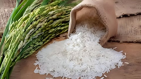 New Rice Prices: भंडारा में नए चावल के दाम 20% तक बढ़े। बेमौसम बारिश, रोग प्रकोप और उत्पादन में गिरावट से महीन चावल महंगा, जनता का बजट बिगड़ा।