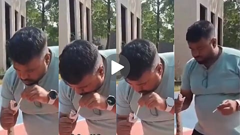 gujarat-man-gives-cpr-to-venomous-snake-ali-ansari-video-viral