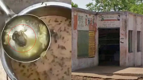 madhya-pradesh gwalior dead-frog-found-in-mid-day-meal-govt-school-shocking-video