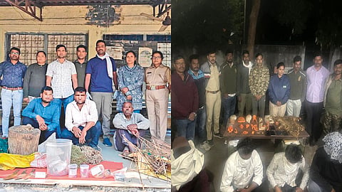 Nagpur Leopard Poaching: हिंगना वन परिक्षेत्र में तेंदुआ शिकार के तीन आरोपी गिरफ्तार। पुलिस ने हथियार जब्त किए। कोर्ट ने 12 दिसंबर तक फॉरेस्ट कस्टडी में भेजा।