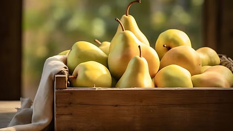Fruit Benefits for Cholesterol and Diabetes Control