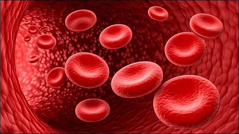 Thalassemia Free Maharashtra Campaign 2026