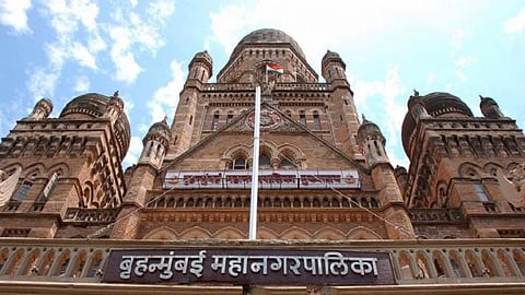 mayor election process
