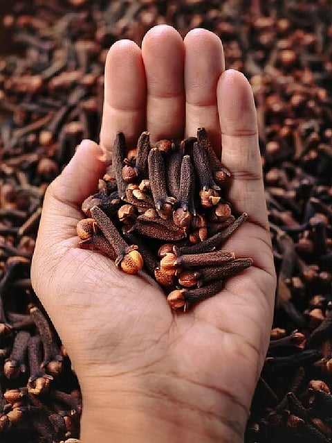 Benefits of eating clove at night