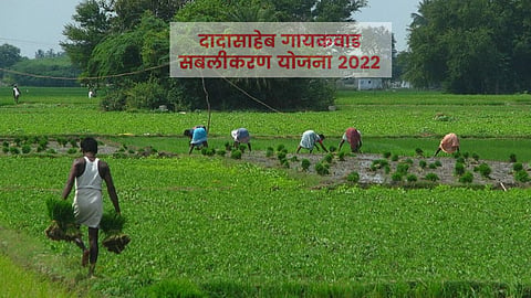 Chandrapur social welfare