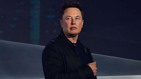 Elon Musk on White-Black Controversy