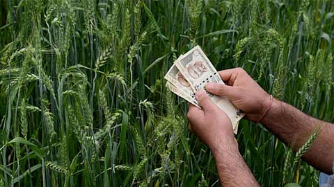 Maharashtra farmers relief