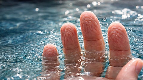 Why Fingers Wrinkle in Water Brain Signal