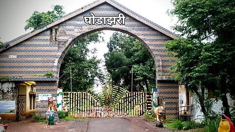 Chandrapur mining project