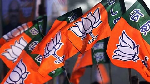 Nagpur Ward Results
