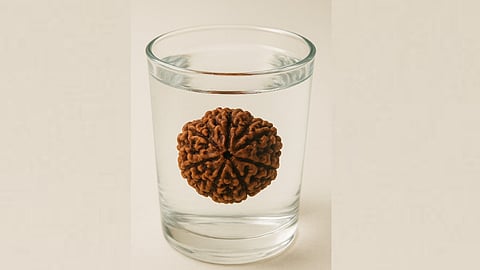 Rudraksha is not only a treasure trove of devotion but also of health; drinking its water daily offers these surprising benefits.