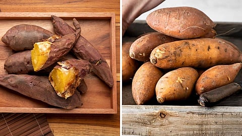 Sweet Potato, Health News