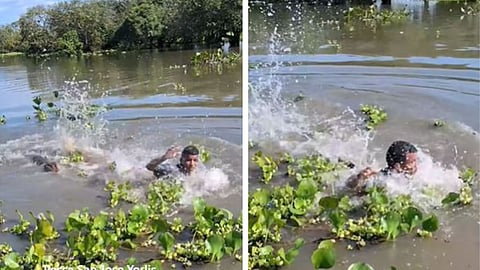 A man’s fun stunt turns terrifying when a crocodile attacks him after he jumps into a swamp, leaving social media users shocked.
