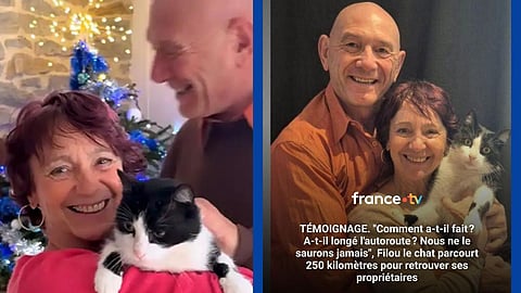 In France, a lost cat named Filou miraculously reunited with her owners after five months, thanks to microchip identification.