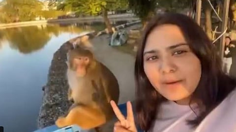 A viral video shows how a girl’s attempt to record a reel near a monkey nearly turned into a dangerous accident.