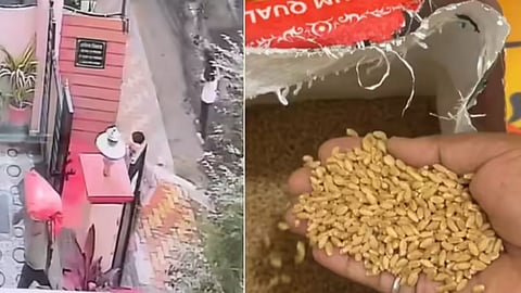 Fraudsters tricked a woman by pretending innocence and sold wheat instead of lentils, the scam caught on video.