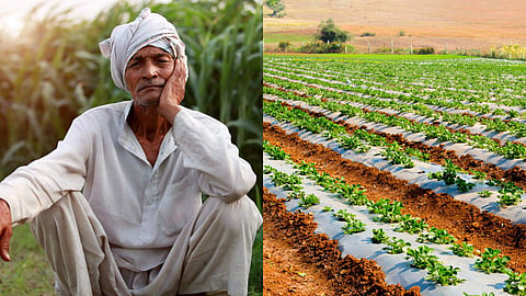 No loan waiver without a farmer ID, 5 years of data required, panic in the tehsil; problems escalate in Wani.