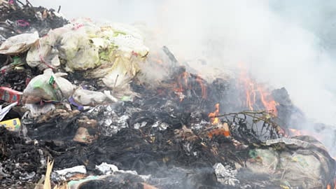 Jamni waste plant