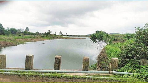 The drought is a thing of the past; water-filled fields have transformed the landscape of Gondia. 10,000 hectares are now irrigated, and the fields are lush and green