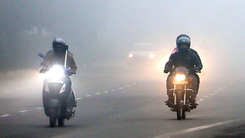 Maharashtra Vidarbha cold wave alert IMD