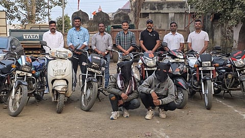 interstate vehicle theft gang