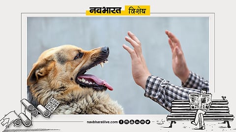 Fake Abhayrab Vaccine Rabies Vaccine Alert India CDC Warning