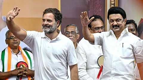 rahul gandhi dmk strategy tamil nadu politics congress backs stalin amid alliance pressure