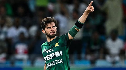 Salman Ali Agha provides update on Shaheen Afridi's fitness