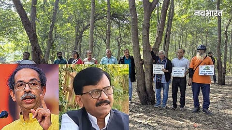 The 1800 trees of Tapovan have become BJP's 'trial by fire', leaving the party isolated in the elections; Tapovan has turned into an electoral battleground.