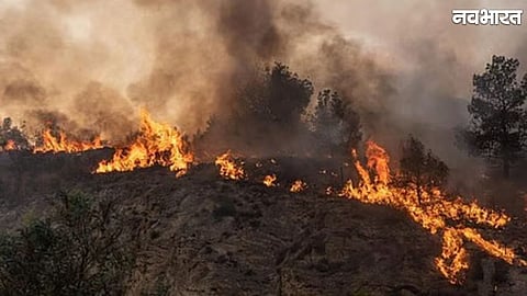 South Africa Wildfires: Over 100,000 Hectares Burned in Western Cape; Mass Evacuations Underway