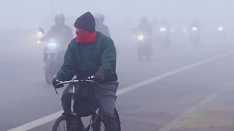 Nagpur cold wave January 2026 news