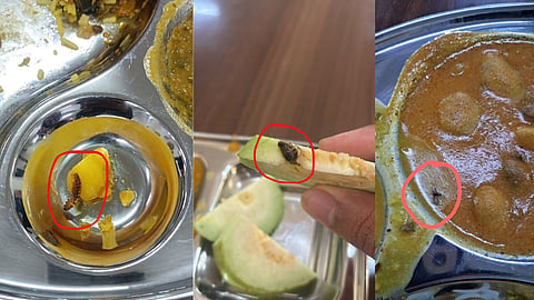Insects In Nagpur AIIMS Mess Food: नागपुर एम्स की मेस के खाने में निकले कीड़े और इल्लियां! मशरूम की सब्जी में मिला संदिग्ध 'स्पंजी' पदार्थ