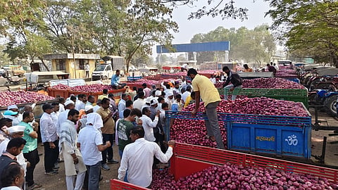 onion subsidy demand