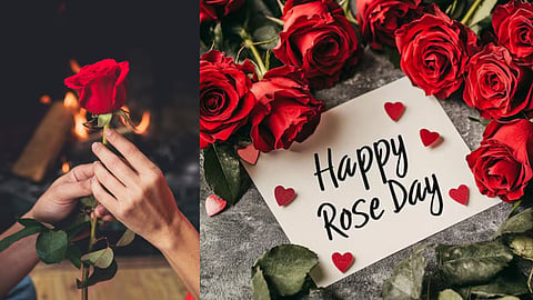 Rose Day 2026 wishes