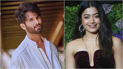 Shahid Kapoor And Rashmika Mandanna Upcoming Romantic Comedy Movie