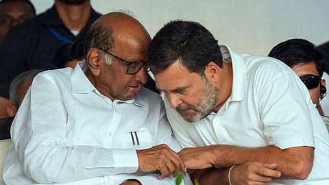 Sharad Pawar supports Rahul Gandhi