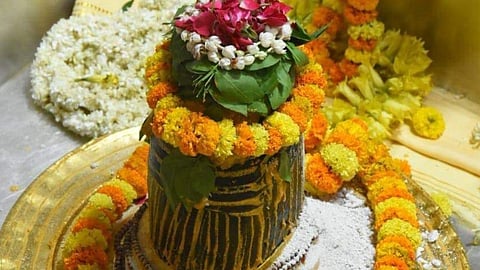 Rangbhari Ekadashi
