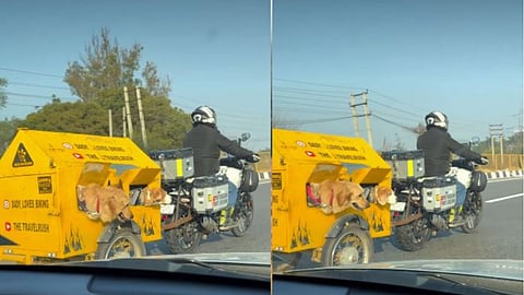 A Gurugram biker’s custom dog trailer ride with his pets has won hearts online.